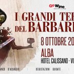 I Grandi Terroir del Barbaresco