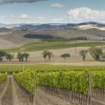 A Montalcino estate record e sold out dalle americhe