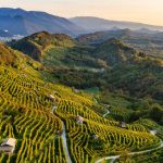 Focus UK e trader inglesi per il Conegliano Valdobbiadene Prosecco Superiore DOCG