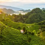 Il Consorzio del Conegliano Valdobbiadene Prosecco DOCG al Wine Paris & Vinexpo Paris