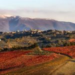Umbria Top Wines  a Slow Wine Fair 2024