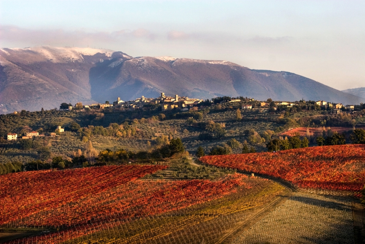 Umbria Top Wines