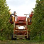 Frutta, Conserve Italia rilancia i progetti di filiera