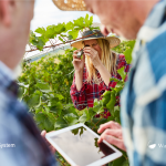 La “giovane” digitalizzazione delle imprese del vino italiane