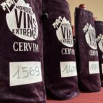 Mondial des Vins Extrêmes 2025, CERVIM annuncia i migliori vini eroici