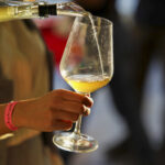 Back to the Wine 2025: il vino che parla un’altra lingua