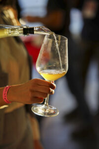 Back to the Wine 2025: il vino che parla un’altra lingua