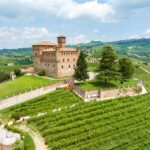 Barolo en Primeur da quest’anno tag anticontraffazione