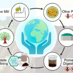 Da microbi “alieni” del suolo a vaccini naturali per le piante: la svolta verde del digestato