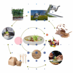 Design for Food. L’esperienza di POLI.design per ripensare il sistema alimentare, anche al Cibus Tec Forum di Parma