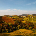 Il foliage live dai territori di Langhe Monferrato Roero