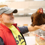 L’agriturismo salva le aree interne, rurali e di montagna: ad AgrieTour il rapporto Isnart