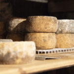 I caprini d’Aspromonte diventano Presidio Slow Food