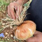 A Castrovillari un nuovo Presidio Slow Food