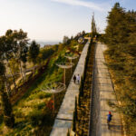 Alba, dove l’arte accende le colline