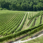 Santalucia 2024: presentata l’iniziativa solidale di Maculan e Fondazione Banca degli Occhi