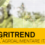 Agroalimentare, III trimestre 2025: ottima performance del primario con l’export che traina sempre di più