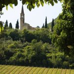 Vino e sport si incontrano: Colli Berici e Gambellara all’Italian FootGolf Open
