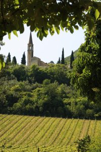 Vino e sport si incontrano: Colli Berici e Gambellara all’Italian FootGolf Open