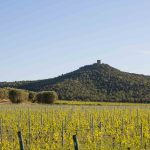 Il Consorzio scrive al Ministro Gilberto Pichetto Fratin 