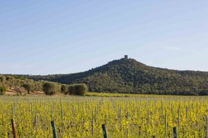 Il Consorzio scrive al Ministro Gilberto Pichetto Fratin 