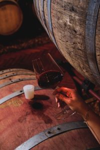 Vino, note e arte: PLUZ in mostra a Ronchi di Castelluccio