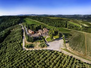 Enovitis in campo celebra la XX edizione in Toscana