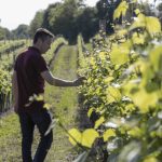 Con Vitevis Academy l’azienda investe sul Capitale Umano