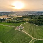 Per un vino “Low Alcol” secondo natura al via da Torgiano la rivoluzione dei lieviti indigeni, ricerca innovativa tra Cantina Terre Margaritelli e Università degli Studi di Perugia