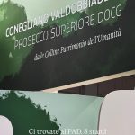 Conegliano Valdobbiadene Prosecco DOCG: il viaggio dalle colline al grande schermo passando per Vinitaly
