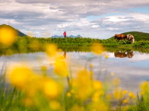 Laghi alpini e sentieri d’alta quota: il Friuli Venezia Giulia che si raggiunge solo a passo lento