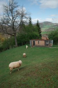 Scuola di pastorizia di Calascio: al via due nuove Masterclass a maggio