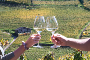 Dal 2 al 5 luglio torna il grande evento dedicato al Müller Thurgau